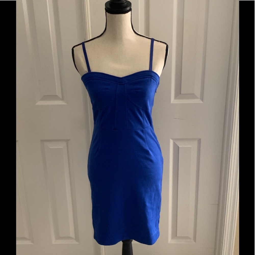 Small Royal Blue form fitting dress with straps